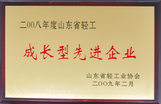 山東省輕工業成長型先進企業